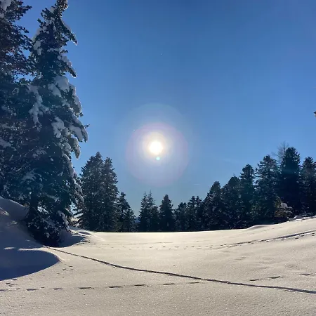 Haus Heidi Bergblick Apartment *
