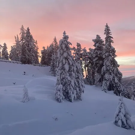 Apartment Haus Heidi Bergblick *