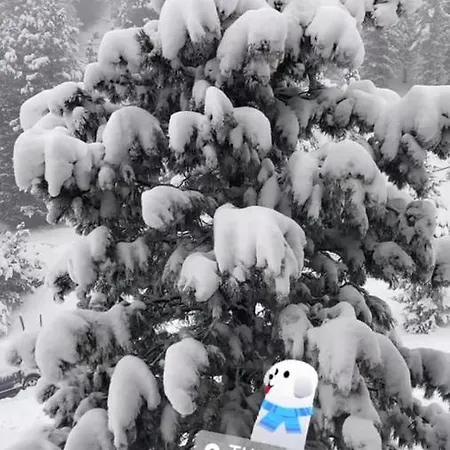 Apartment Haus Heidi Bergblick *