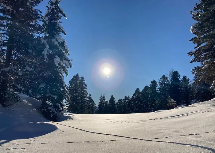 Haus Heidi Bergblick Apartament *