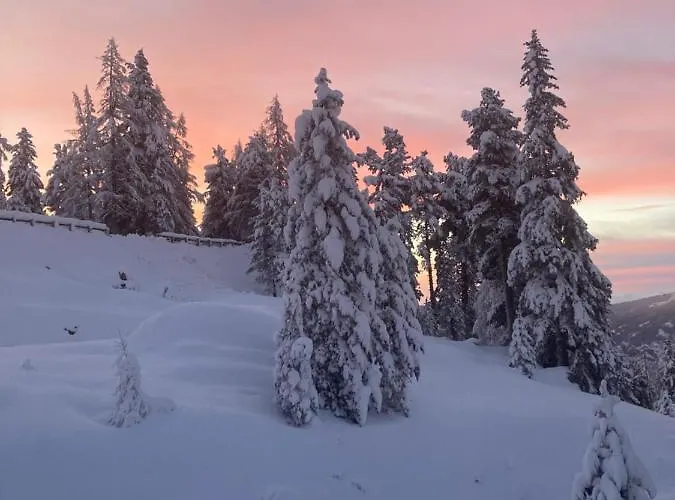 Apartament Haus Heidi Bergblick *