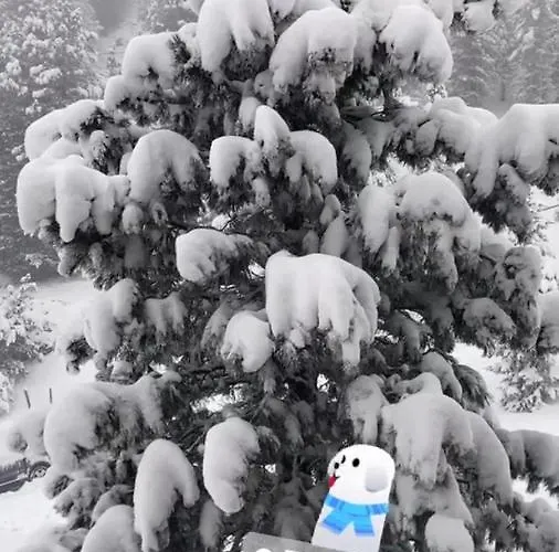 Apartament Haus Heidi Bergblick *