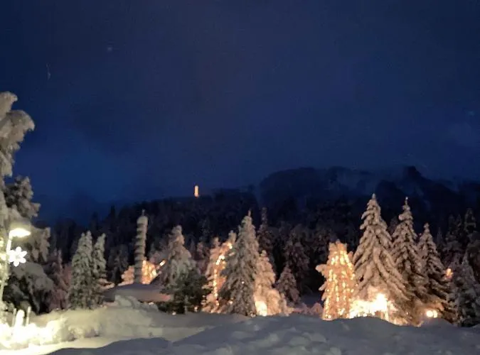 Apartament Haus Heidi Bergblick *