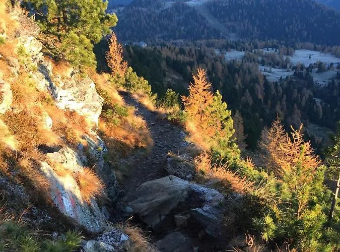 Apartament Haus Heidi Bergblick Turracher Hohe